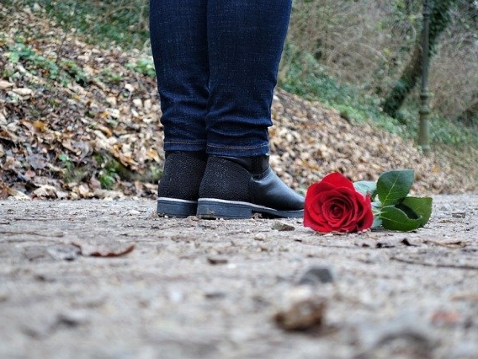 red-rose-on-the-floor-g8c8b50f34_640