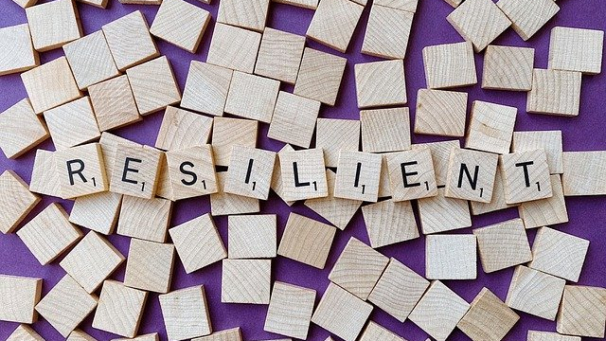 resilient-gb7962c2f0_640